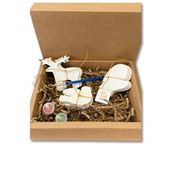 Χριστουγεννιάτικο DIY Σετ Ζωγραφικής MAGIC Forest